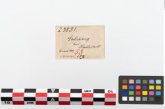 Etiketten zu Spinnwirtel (NHMW-PRAE-023831)